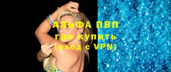 трава Новодвинск