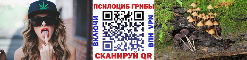 Псилоцибиновые грибы мицелий Ивантеевка