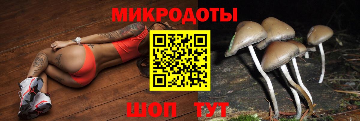 Галлюциногенные грибы Magic Shrooms  Вход с VPN  Псилоцибиновые грибы Magic Shrooms  Ивантеевка 